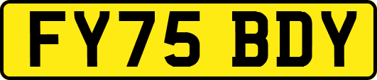 FY75BDY