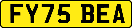 FY75BEA