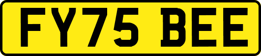 FY75BEE