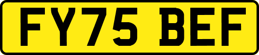 FY75BEF