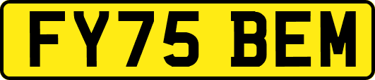 FY75BEM