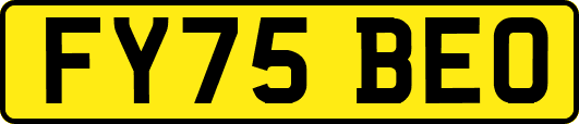 FY75BEO