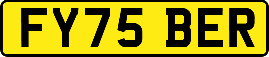 FY75BER
