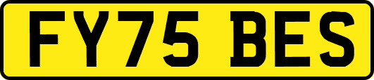 FY75BES