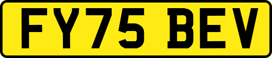 FY75BEV