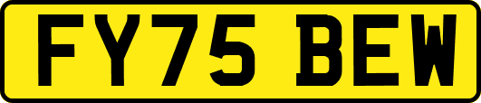FY75BEW