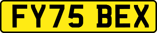 FY75BEX