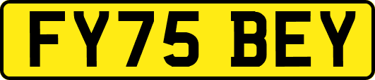 FY75BEY