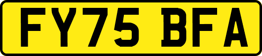 FY75BFA