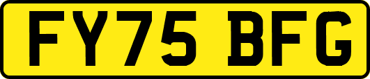 FY75BFG
