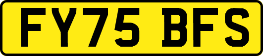 FY75BFS