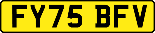 FY75BFV