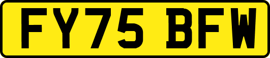 FY75BFW