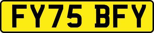 FY75BFY