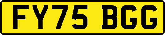 FY75BGG