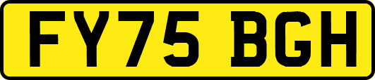 FY75BGH