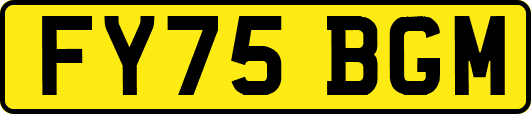 FY75BGM