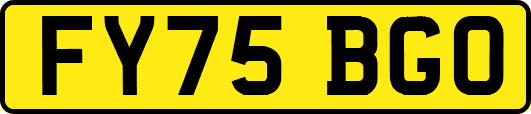 FY75BGO
