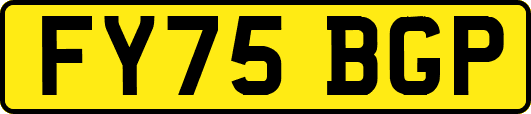 FY75BGP
