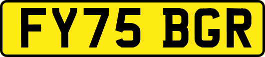 FY75BGR