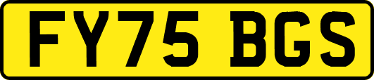 FY75BGS