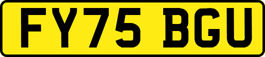 FY75BGU