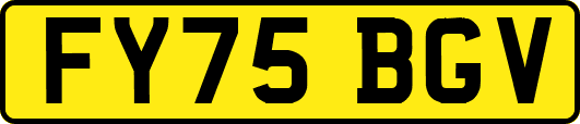 FY75BGV