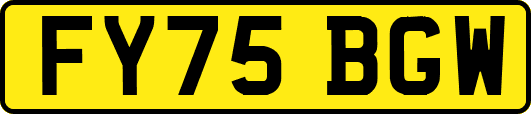 FY75BGW