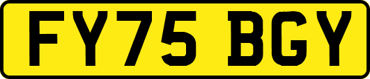 FY75BGY