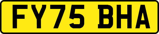 FY75BHA