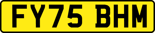 FY75BHM
