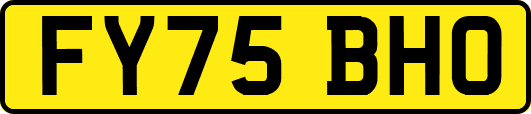 FY75BHO
