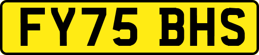 FY75BHS