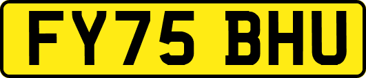 FY75BHU