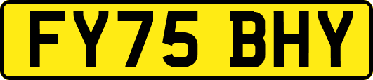 FY75BHY
