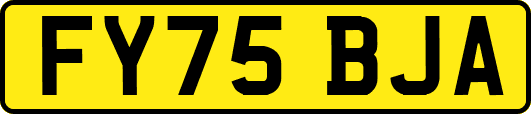 FY75BJA