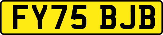 FY75BJB