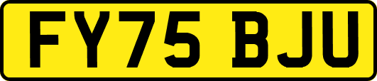 FY75BJU