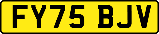 FY75BJV