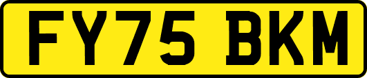FY75BKM