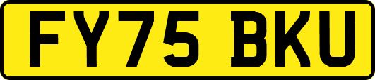 FY75BKU
