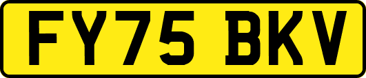 FY75BKV