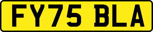FY75BLA