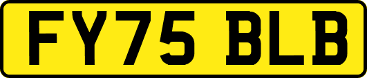 FY75BLB