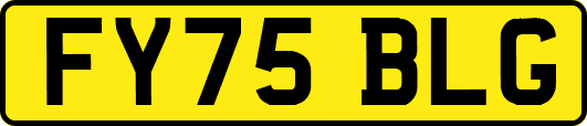 FY75BLG