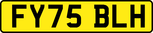 FY75BLH