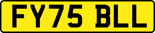 FY75BLL