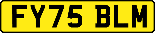 FY75BLM