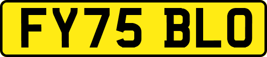 FY75BLO