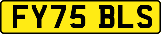 FY75BLS